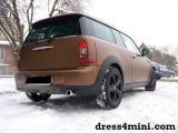 Mini Bronze Matt 2