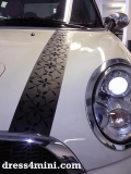 Mini Individuelle Stripes