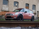 Schotten Mini