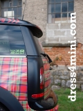 Schotten Mini 2