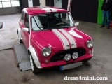 Mini Hot Pink