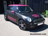 Mini Black Pink