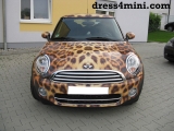 Mini Tiger