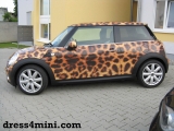 Mini Tiger 2