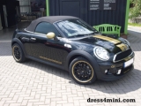 Mini Roadster Gold Edition