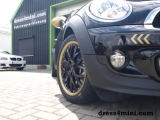 Mini Roadster Gold Edition