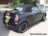 Mini Roadster Gold Edition