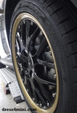 Mini Roadster Gold Edition