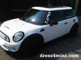 Mini Snow White