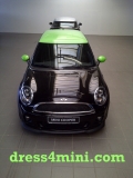 Mini Grüne Details