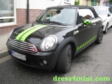 Mini Rallye Stripes Grün