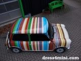 Mini Colorstripes