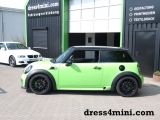 Mini Green