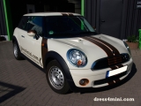 Mini Brown Stripes