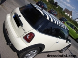 Zebra Dachdesign