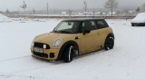 Meiner Im Schnee