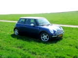 Cooperr50