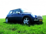 Cooperr50