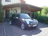 Mini 11