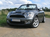 Mini In Der Natur