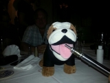 Dampfende Mini Dogge&#9829;