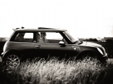 R53 Silhoutte Im Gras