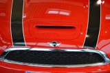 Mini Hoga 1