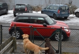 Mini Hoga 8