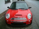 RedNose001