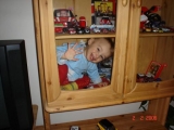 morzi