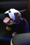 Hetgie´s Wachhund