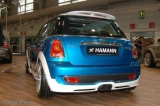 MINI@IAA 2007