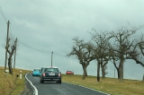 Odenwaldtour 2006