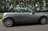 MINI United :yeah: