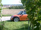 Im Weingarten