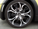 Oliver´s Mini One S (25)