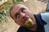 151_Zuviel_Vitamine