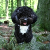 Moritz