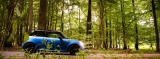 Jcw In Freier Wildbahn