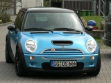 Oster Schubbern