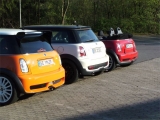 Minialle11