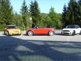 Minialle3