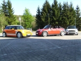 Minialle4
