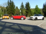 Minialle6_817467