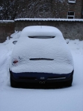 Mini Im Schnee