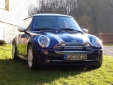 Mini im Herbst