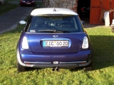 Mini im Herbst