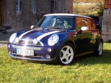 Mini im Herbst