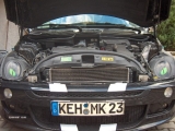 HPIM2816