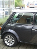 MINI-Hund?